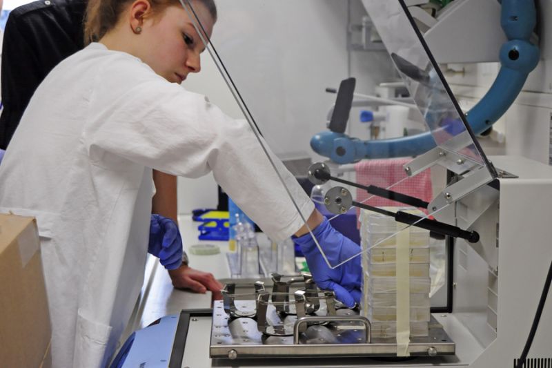 tl_files/lab_alumni/bilder/verein/HLSL3.jpg