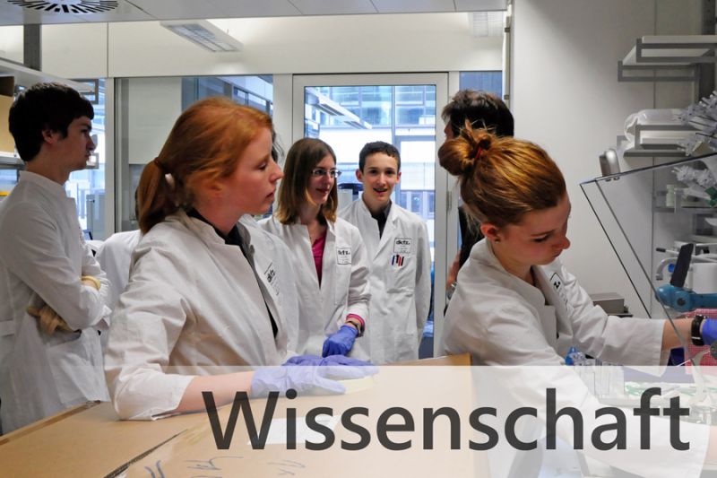 tl_files/lab_alumni/bilder/verein/verein2.jpg